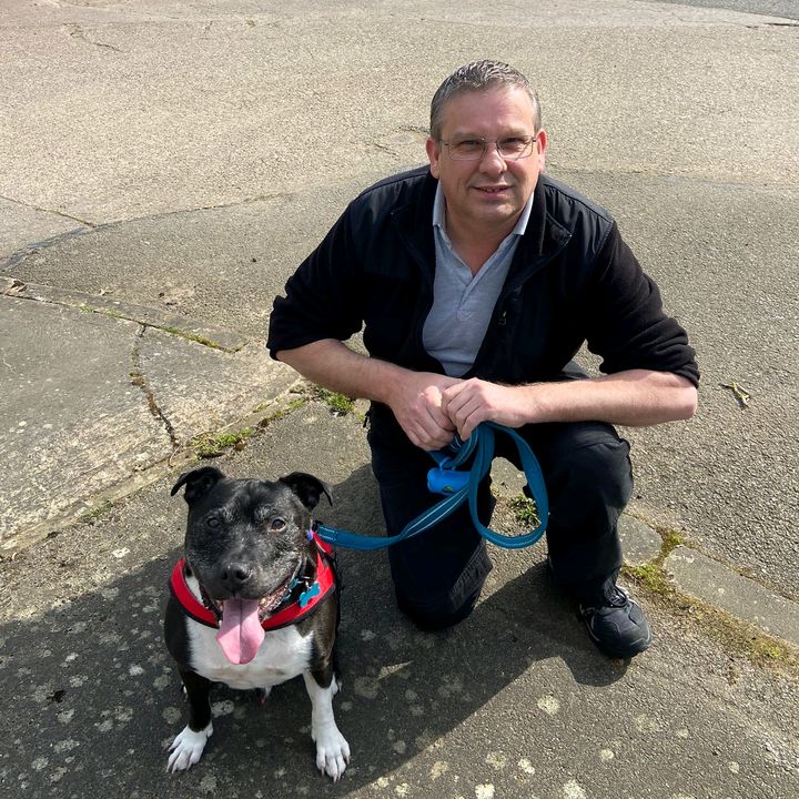 Profile Picture of Ian Michael (@ianmichaelhaver) on Tiktok