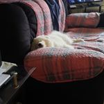 Profile Picture of Matthiew Larocque (@larocquematthiew) on Instagram