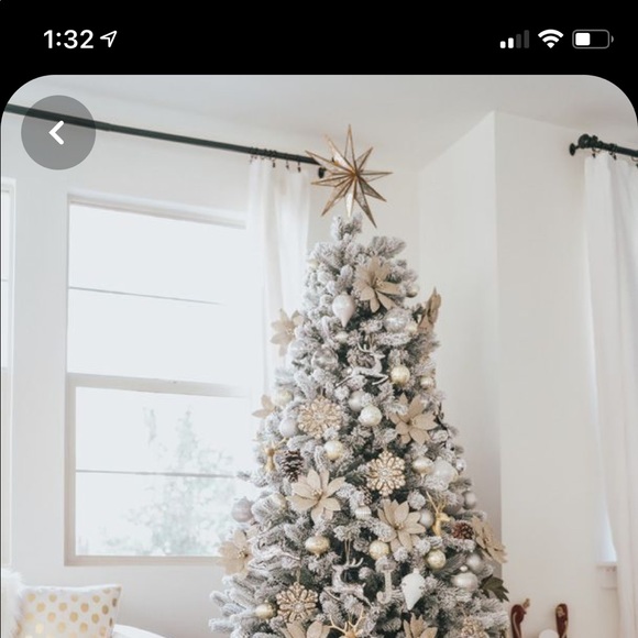 Profile Picture of Daniela Barragan (@danielabarra156) on Poshmark