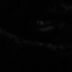 Profile Picture of Steve Callender (@Steve-Callender) on Facebook