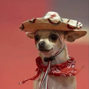 Profile Picture of Nancy Leonard (@nancyleonard4531) on Youtube