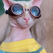 Profile Picture of Seth Rice (@sethrice6310) on Youtube