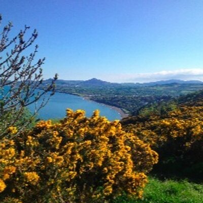 Profile Picture of Joanne Mc Grath (@joannemcgrath1) on Twitter