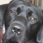 Profile Picture of max woolley (@woolley.max) on Instagram