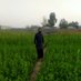 Profile Picture of Hammad Hassan (@hammadh63104137) on Twitter
