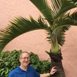 Profile Picture of Ted Werner (@twballgame_60) on Instagram