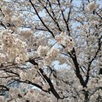 Profile Picture of 이윤진 (@l_yun_jin_90) on Instagram