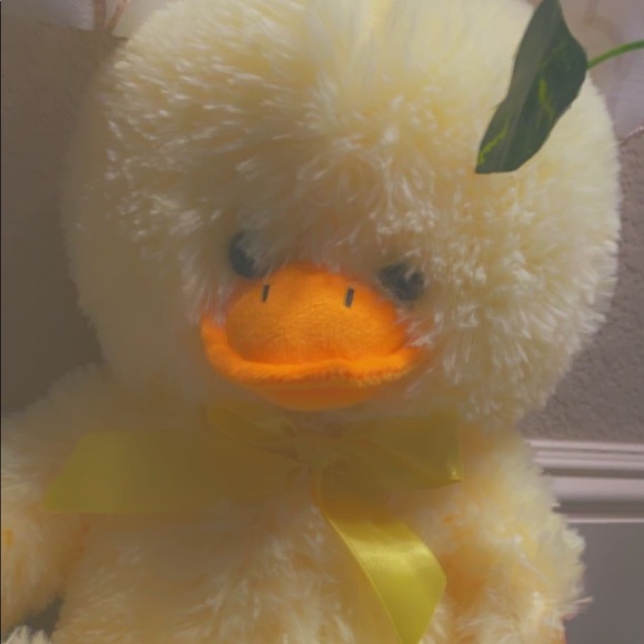 Shahy Abouraya - Poshmark Profile Picture of Shahy Abouraya (@shahyabouraya) on Poshmark