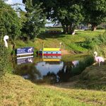 Profile Picture of Beanie Sturgis (@dauntsey_horse) on Instagram