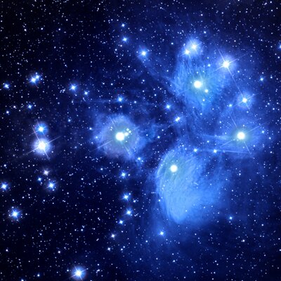 Profile Picture of Peter Thorson (@PeterThorson) on Twitter