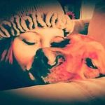 Profile Picture of Shannon Martina Sass (@verlaskaginger) on Instagram