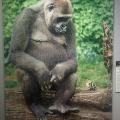 Profile Picture of Clifton Scott (@cplscottcj) on Twitter
