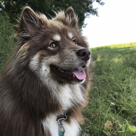 Profile Picture of Raegan Frenger (@raeganravioli) on Poshmark