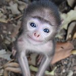 Profile Picture of michael alstad (@datslagram) on Instagram