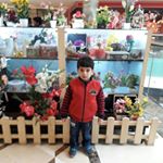 Profile Picture of Anil Kumar Kaul (@anilkumarkaul) on Instagram