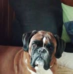 Profile Picture of Gerry Versluis (@Gerry-Versluis) on Facebook