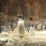 Profile Picture of John M. Roppolo (@johnm.roppolo) on Instagram