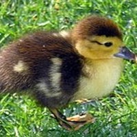 Profile Picture of Edgar Bailey (@edgar-bailey-3) on Quora