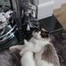 Profile Picture of June McConnell (@june.natsios.75) on Facebook