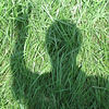 Profile Picture of rustylburns (@rustylburns) on Flickr