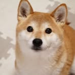 Profile Picture of Xiaofeng Ye (@Xiaofeng-Ye) on Facebook