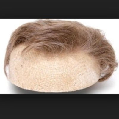 Profile Picture of Greg McElroy's Hair (@McElroyshair) on Twitter
