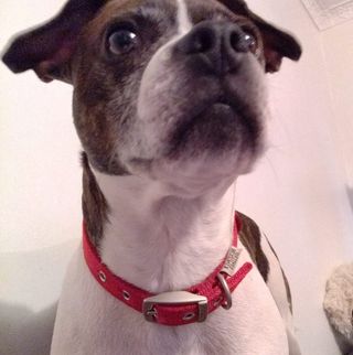 Clay Frost - Facebook Profile Picture of Clay Frost (@clay.frost.75) on Facebook