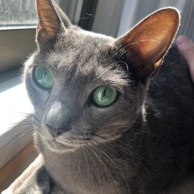 Profile Picture of RoaLe (@RoaN31504856) on Twitter