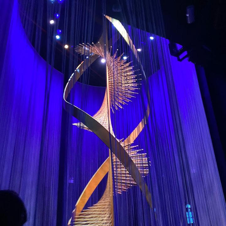 Amy with a y - Tiktok Profile Picture of Amy with a y (@gaintrain20.22) on Tiktok