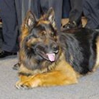 Profile Picture of John Brocco (@john-brocco) on Quora