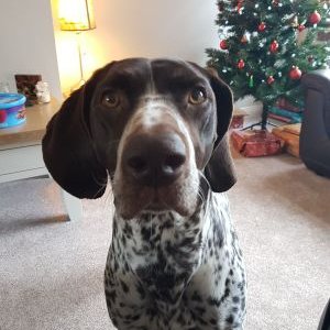 Profile Picture of Nancy Fleming (@NancyFl06960471) on Twitter