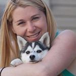 Profile Picture of Alexandra Eichenbaum (@stevienicksthehusky) on Instagram