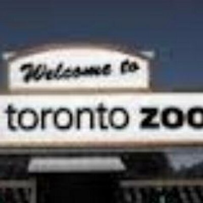 Profile Picture of Joe Gorham (@joegorham1) on Twitter