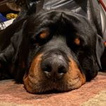 Profile Picture of Mark Ostendorf (@mark.ostendorf) on Instagram