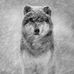 Profile Picture of Sean Adair (@sean.adair.167) on Facebook