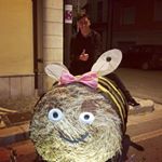 Profile Picture of Andrea Montozzi (@same_kun) on Instagram