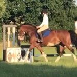 Profile Picture of Amelia Hunt (@amelia.hunt26) on Instagram