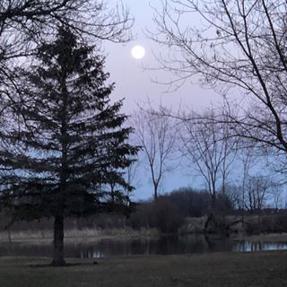 Profile Picture of Steve Grass (@steve.grass.391) on Facebook