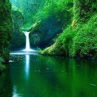 Profile Picture of David Isaias Pescatore Diaz (@David-Isaias-Pescatore-Diaz) on Facebook