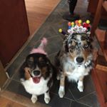 Profile Picture of Nancy Atkins Earnshaw (@nancyear) on Instagram