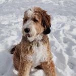 Profile Picture of charles kramer (@charlie.the.prince) on Instagram