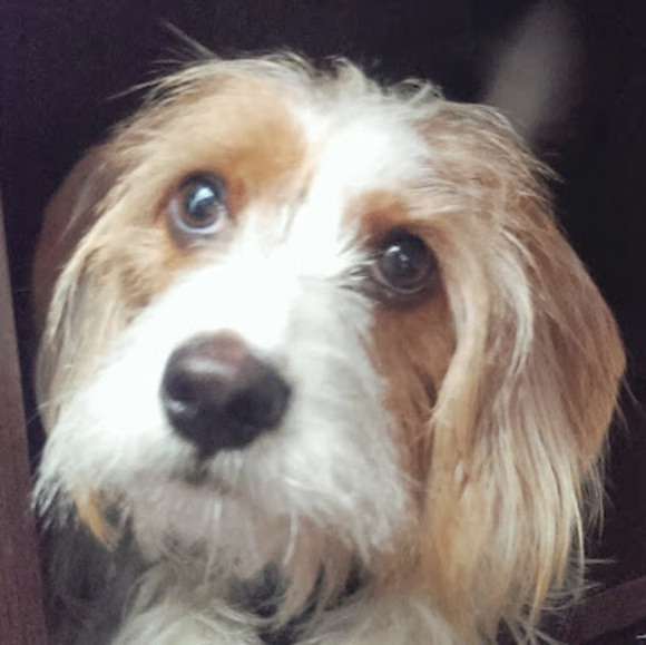 Profile Picture of Nathan Liu (@nliu25) on Poshmark