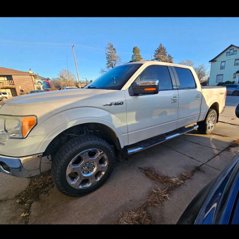 Profile Picture of Matt Mifflin (@corgiboy86) on Tiktok