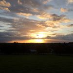 Andre Burgess - Instagram Profile Picture of Andre Burgess (@herefordkahn) on Instagram