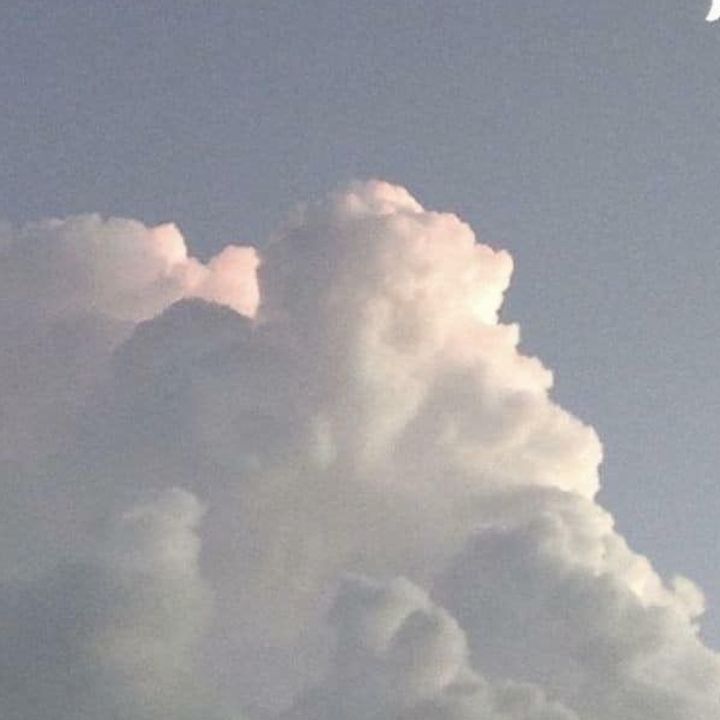 Profile Picture of . (@pear_nlh) on Tiktok