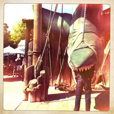 Profile Picture of Tony Jorgenson (@antonjorjensen) on Twitter