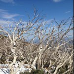 Profile Picture of Brad Eshuys (@bradeshuys76) on Instagram