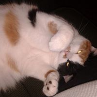 Profile Picture of Letha Stclair (@jordan23lethast) on Pinterest