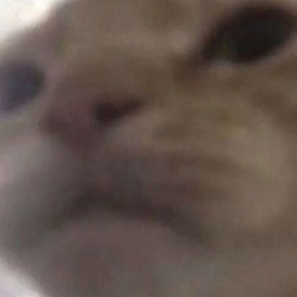 Profile Picture of Paige Ritter (@random_person21) on Poshmark