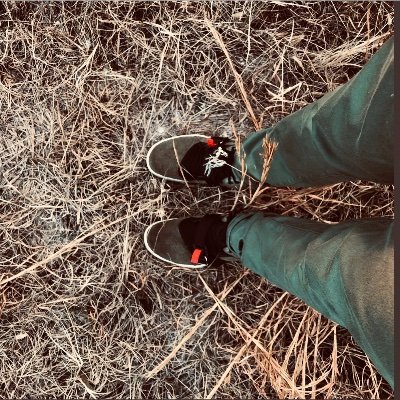 Profile Picture of Paul Wernick (@paulwernick) on Twitter